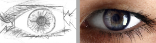 Precise planning. Storyboard and realization.