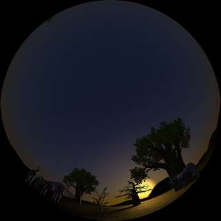 In the picture: